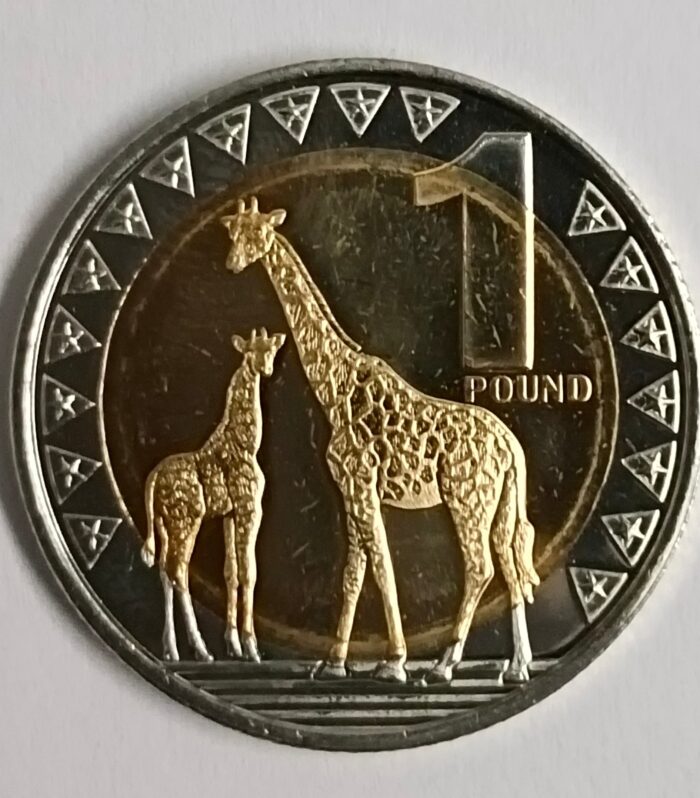 South Sudan 1 Pound 2015 Unc coin bimetal