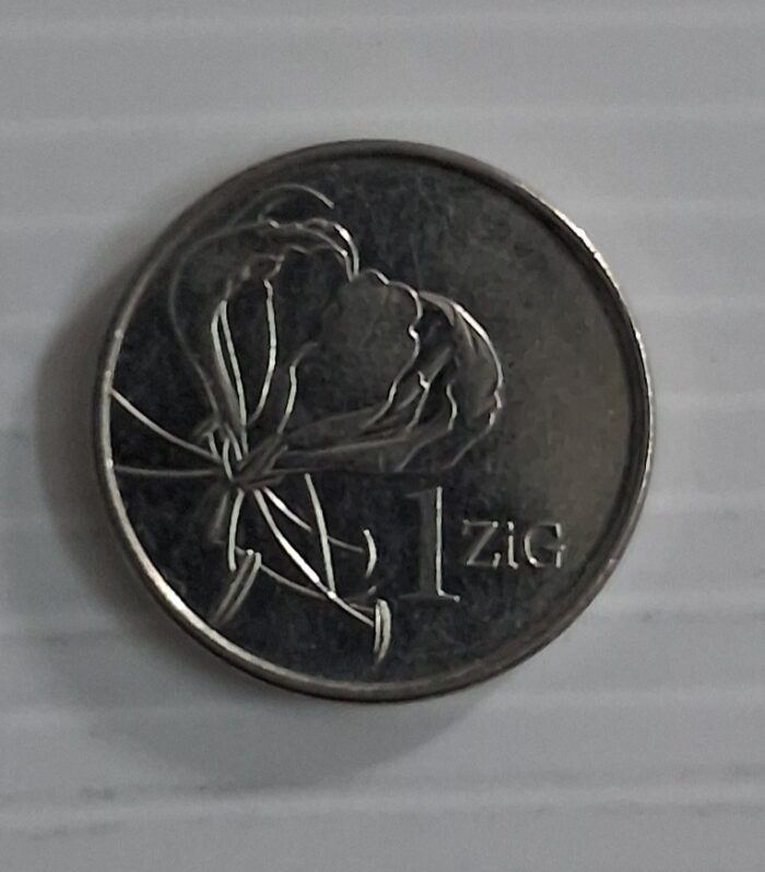 Zimbabwe 1 Zig 2024 Unc coin