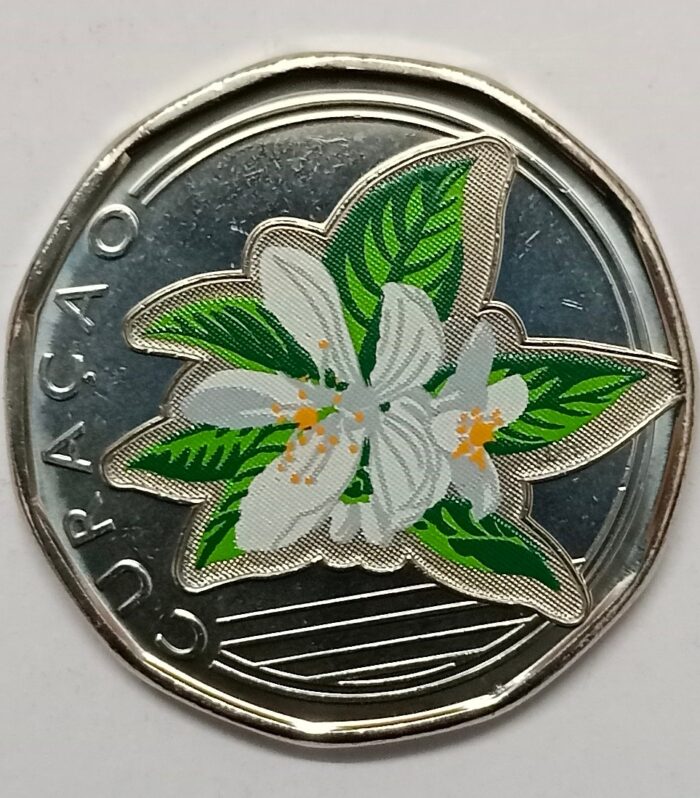 Curacao 50 Cents 2025 coloured coin