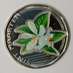 Sint Maarten 50 cents 2025 coloured coin