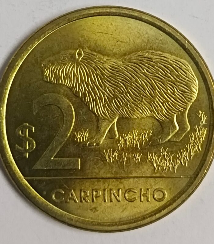 Uruguay 2 Pesos 2011 unc coin Capybara