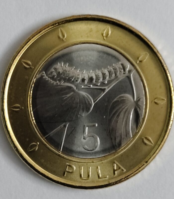 Botswana 5 pula 2013 unc bimetal world coin