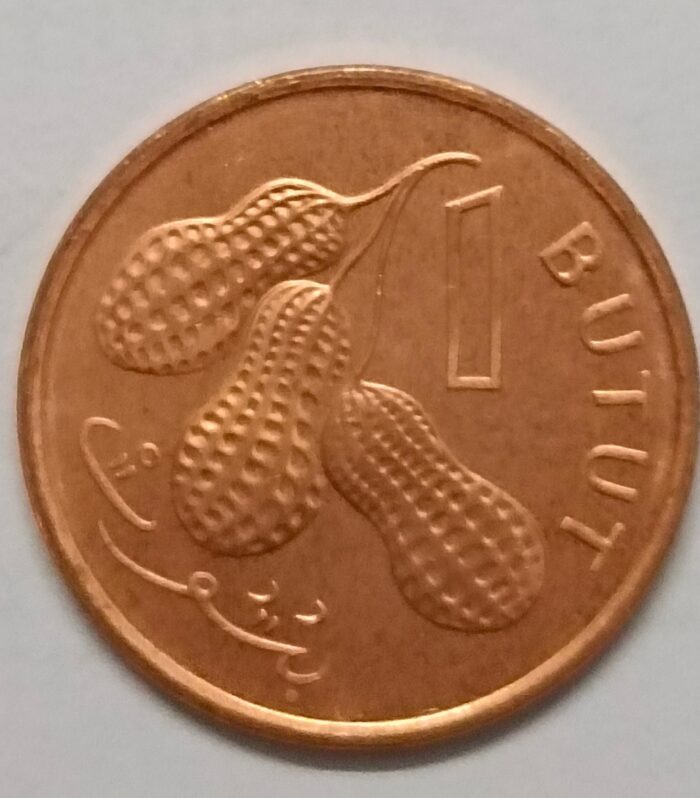 Gambia 1 butut 1998 world coin peanuts