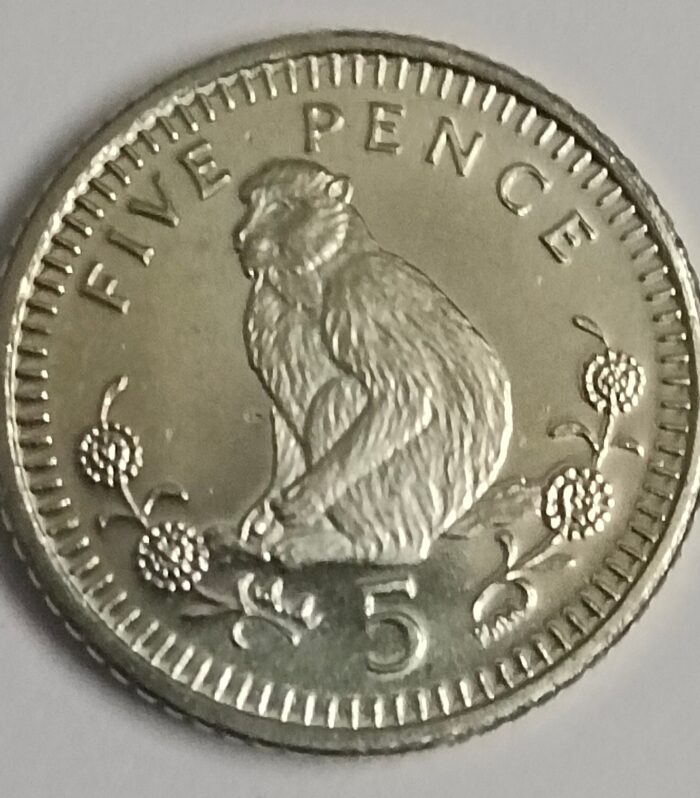 Gibraltar 5 pence 2000 unc world coin monkey