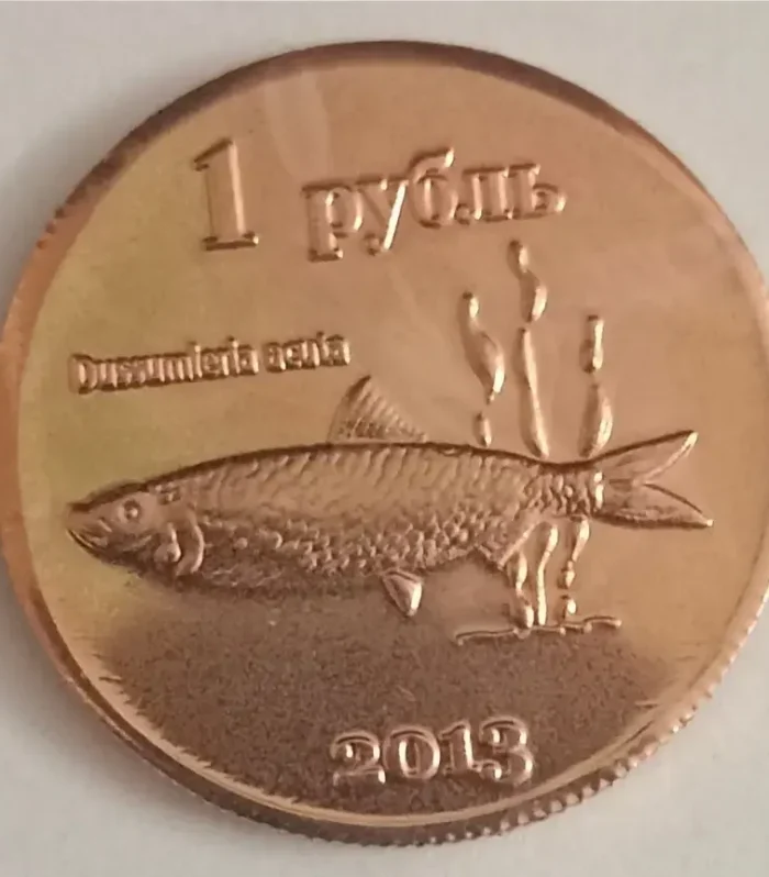 Kuril islands 1 ruble world coin fantacy collectors issue
