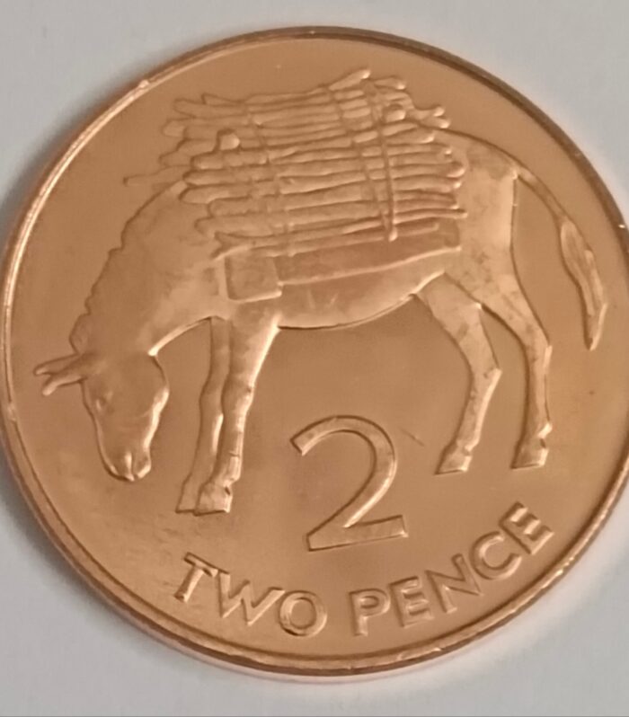 Saint helena and ascension islands 2 pence 2006 world coin donkey