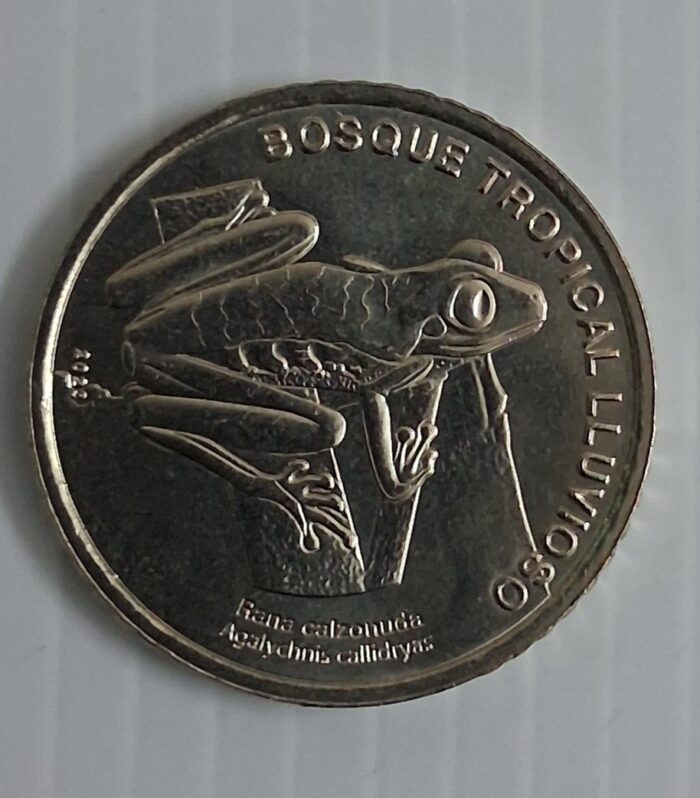Costa rica 50 colones 2023 Red eyed tree frog world coin