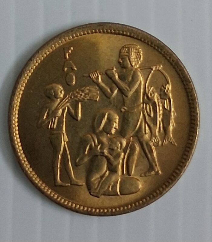 Egypt 10 Millemes Fao 1975 rare world coin